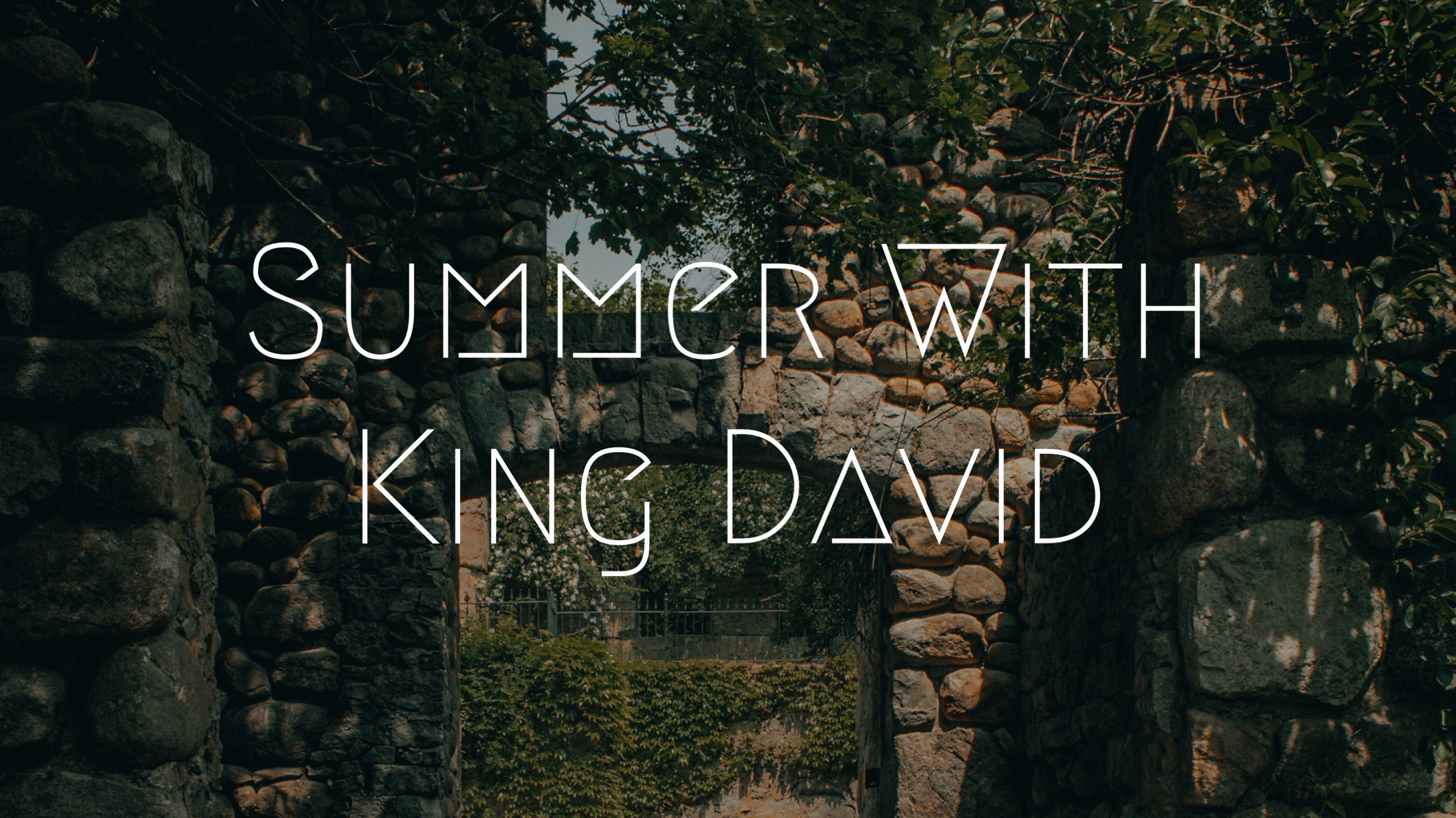 Summer With King David